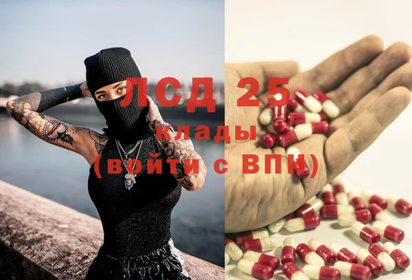 spice Арсеньев