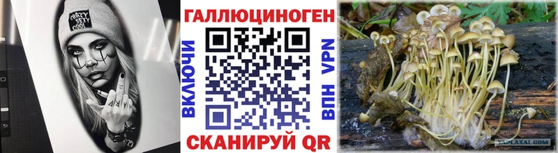 Псилоцибиновые грибы мухоморы  Нововоронеж 
